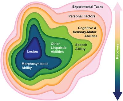 A reconceptualization of sentence production in post-stroke agrammatic aphasia: the Synergistic Processing Bottleneck model